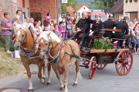 Festzug kutsche2010.JPG